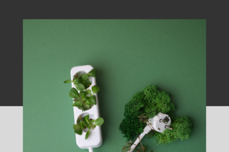 Sustainable Living: Small Changes for a Big Impact