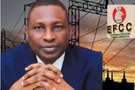 What we discovered in power sector will make you cry – Olukoyede, EFCC