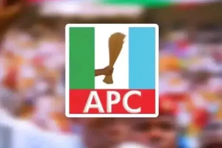 2025 Lagos Council Elections Across LGAs and LCDAs