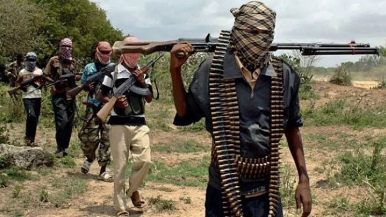 Gunmen Attack Zamfara Village, Abduct Over 50 Women and Girls