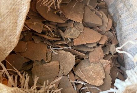 Nigeria Customs Seizes Pangolin Scales