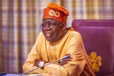 Tinubu Tax Reform Bills Nigeria.