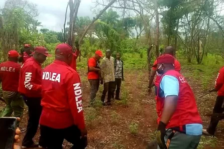 NDLEA Ogun Indian hemp eradication