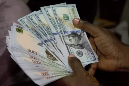 Naira depreciation graph” or “Nigeria 2025 budget breakdown.