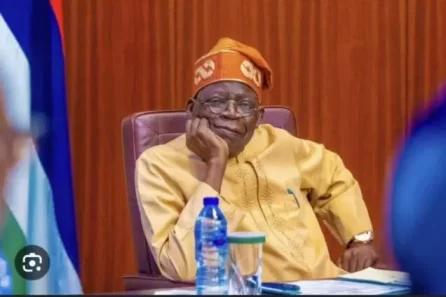 Tinubu economic reforms