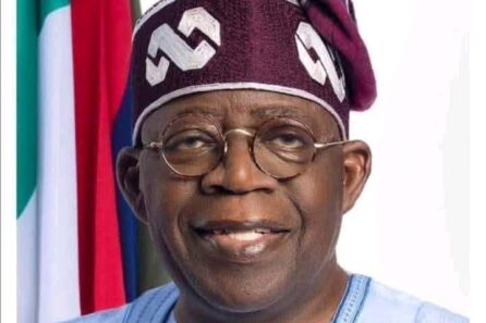 Tinubu 2025 economic growth