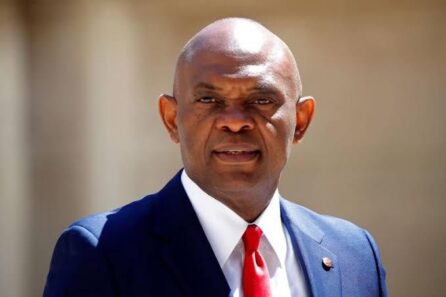 Tony Elumelu UBA Party