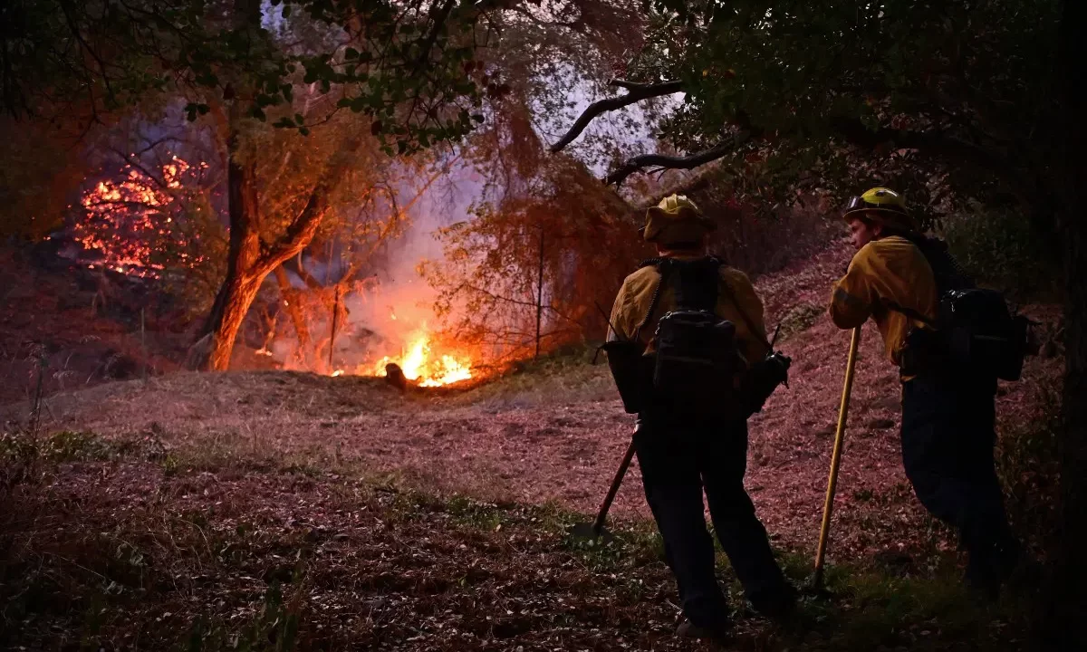 Los Angeles wildfire destruction, fire tornado, wildfire evacuation