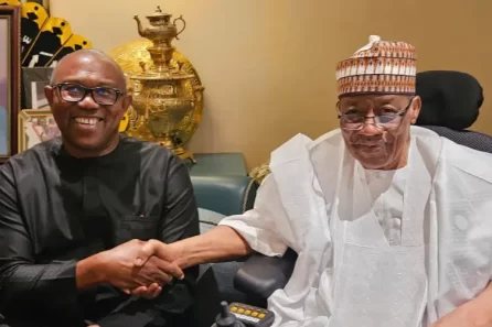 Peter Obi and Ibrahim Babangida meeting