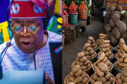 John Deere tractors deployment in Nigeria