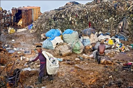 Women scavenging food in Lagos market