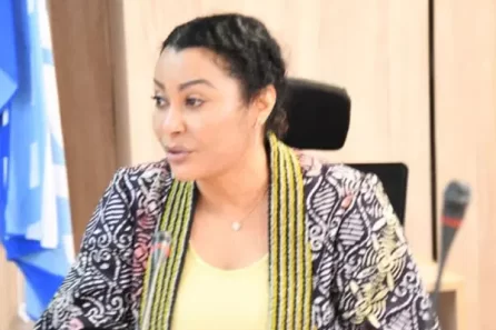 Strategic Resource Allocation for Nigeria's Growth 2025