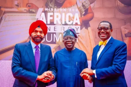 Nigeria Energy Development