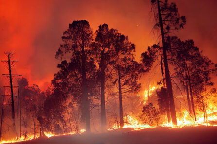 San Diego wildfire locations