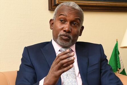 Nigeria G20 Foreign Ministers' Meeting Johannesburg