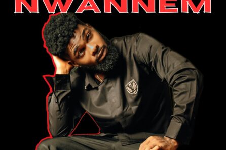 Nwannem by Ario Papa cover art