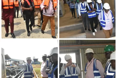 NCDMB local content development