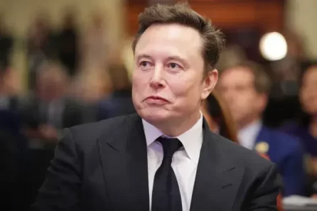 Elon Musk DOGE US tax system