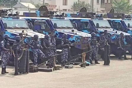 IGP deploys special squad to combat crime in Imo