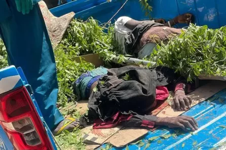 Kano Auto Crash at Eldorado Cina Junction