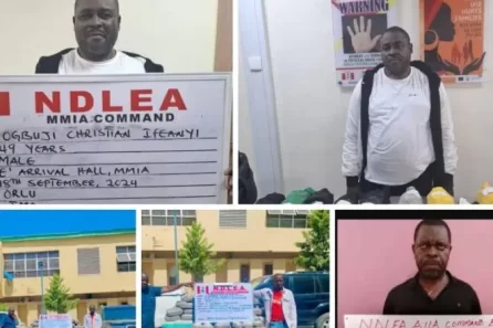 Drug traffickers sentenced in Nigeria