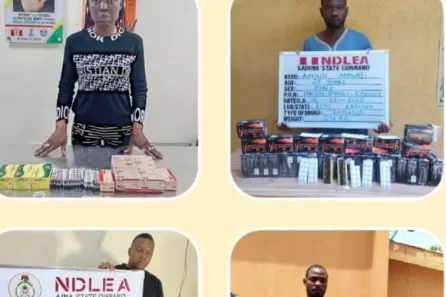 NDLEA intercepts drug shipment