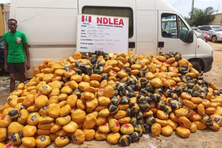 NDLEA arrests drug traffickers in Kano