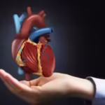 Organ Death Sequence In The Human Body